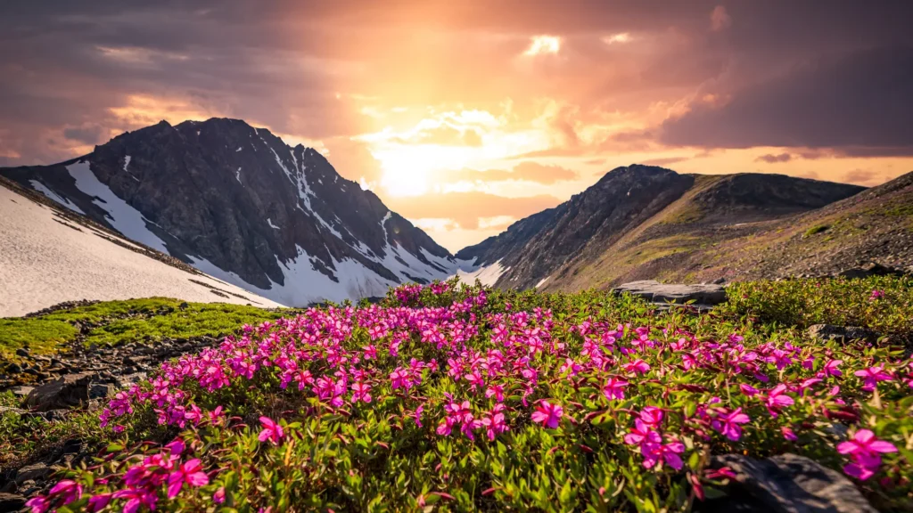 Valley of flowers itenary