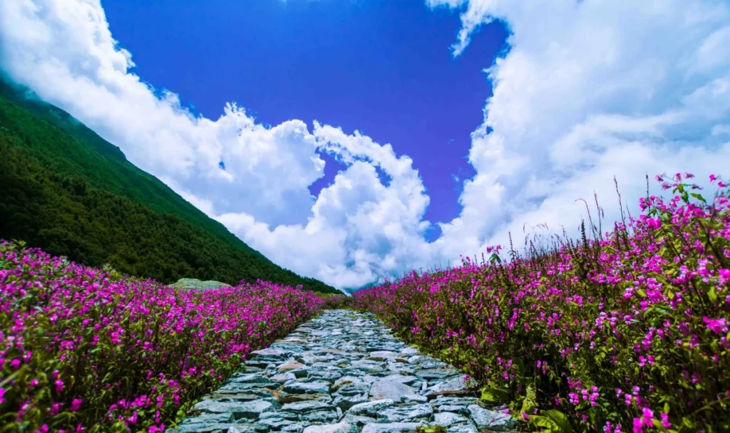 Valley of flowers weather